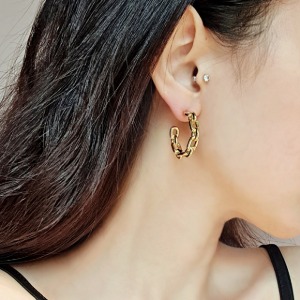 [surgical steel] Chain Ring Earrings